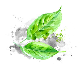 Green watercolor leaves with gray paint splashes on paper.