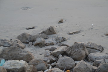 rocks on the beach