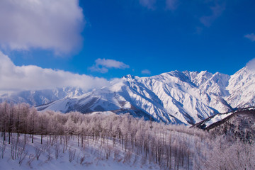 Fototapeta na wymiar 長野県の雪景色