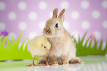 Easter Bunny and Chick