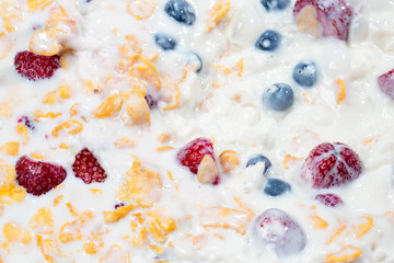 fresh berries and muesli close-up for healthy breakfast.