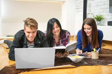 College students studying together at home.
