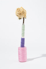 Rosa de costura