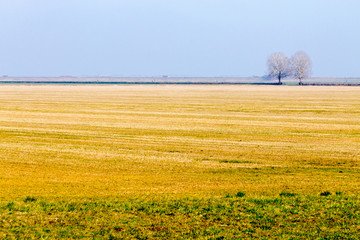 Rural Italian landscape from Po river lagoon.