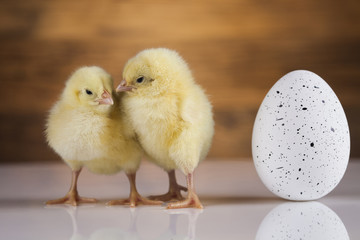 Egg on chick, Easter background