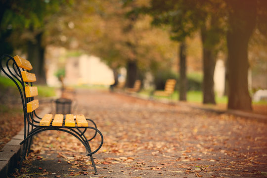 photo of beautiful autumn park full of benches and folliage in wonderful Wroclaw