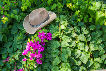 Hat in bougainvillea garden