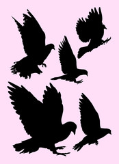 Pigeon, dove detail silhouette 01. Good use for symbol, logo, mascot, web icon, sign, or any design you want.