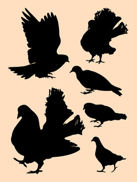 Pigeon, dove detail silhouette 02. Good use for symbol, logo, mascot, web icon, sign, or any design you want.