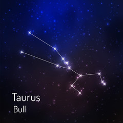 constellation in the night starry sky. Vector illustration © foxyliam