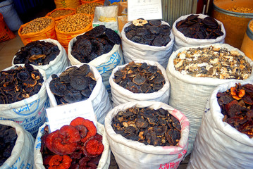 Fungus at Qinping Market, Guangzhou, China
