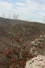 Cliffs and rodk formations in Illinois