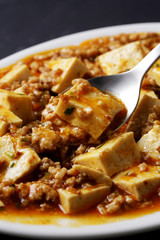 麻婆豆腐　Mapo doufu