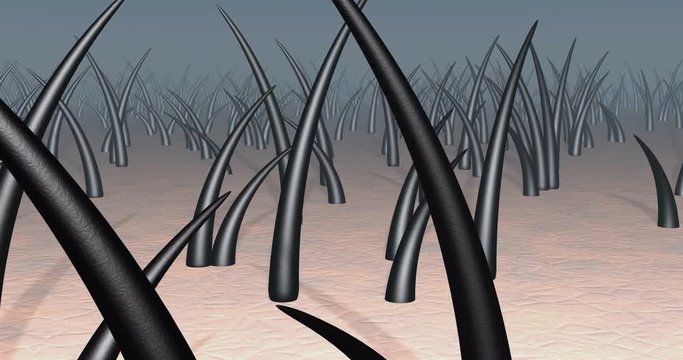 Hair on skin. 3d animation of camera flying into strands of hair