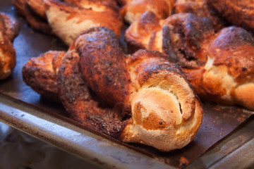 bread and bird