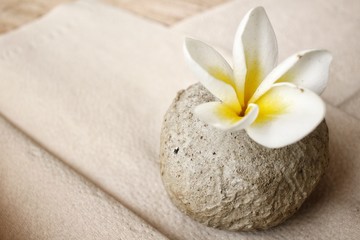 Fototapeta na wymiar White frangipani flower with stone