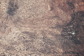 Wood background
