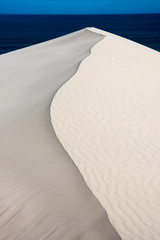 White sand dune at de Hoop Nature Reserve in South Africa, contrasted against deep blue ocean.