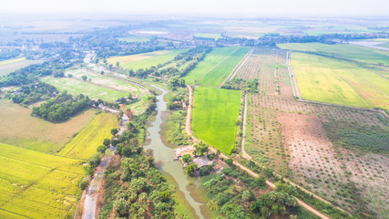 water from dam use for grown rice