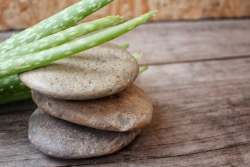 Fototapeta premium Aloe vera with stone