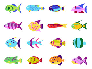 Cute fish vector set