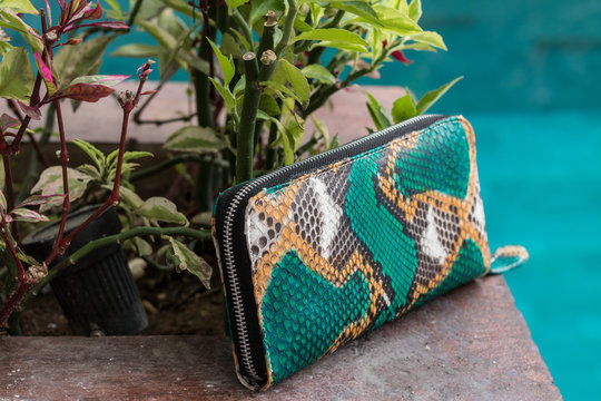 Stylish luxury snakeskin python wallet on a swimming pool background.
