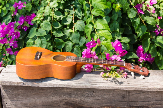 Ukulele guitar on wooden table in bougainvillea garden