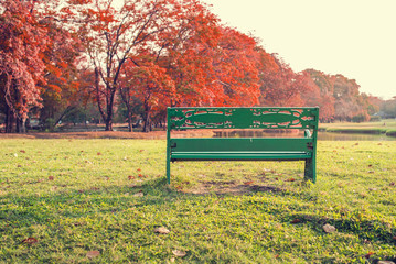 Chair in the park with colorful of tree 