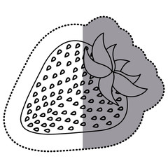 silhouette delicious strawberry fruit icon, vector illustration design
