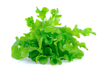 Salad leaf. Lettuce isolated on white background