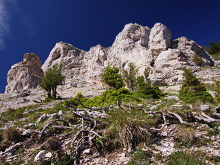 Felsengruppe neben dem Altenbergersteig zur Rax auf die Schneealpe