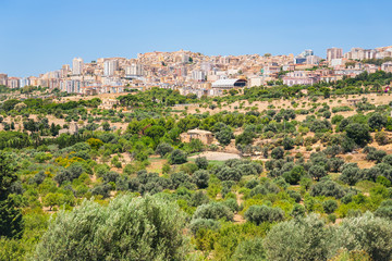 Obraz premium fruit gardens and view of Agrigento town