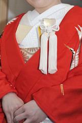 ブライダルイメージ,華麗で優美なとても素敵なウェディング