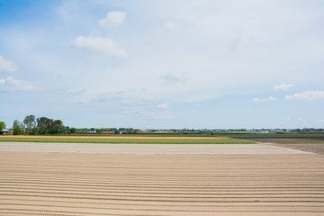 Empty field with furrows after tulips harvest prepared for planting in Keukenhof, The Netherlands