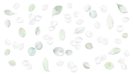 Pastel background with flower leaves.