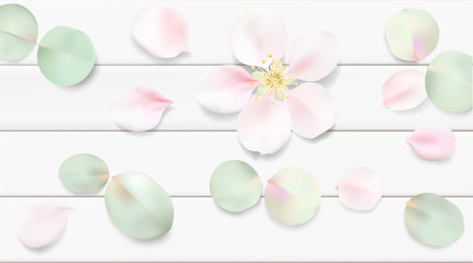 Pastel background with flower leaves.