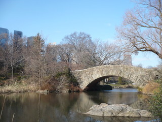 Fototapeta na wymiar View from Central Park NYC