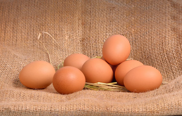 Chicken Egg , egg on a brown sackcloth