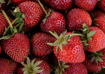 fresh ripe strawberries