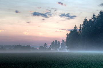 Foggy fields on sundown