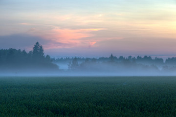 Foggy fields on sundown