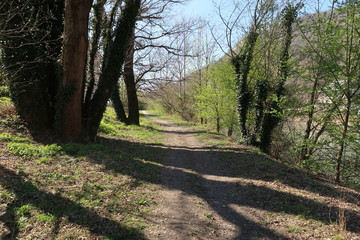 Sentier au bord de l'Isère