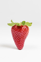Fragola isolata su sfondo bianco