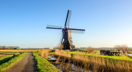 Fototapeta premium Historic polder mill in the Netherlands in the fall season