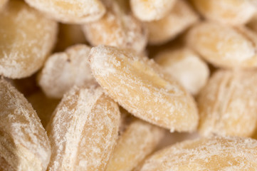 barley as background. macro