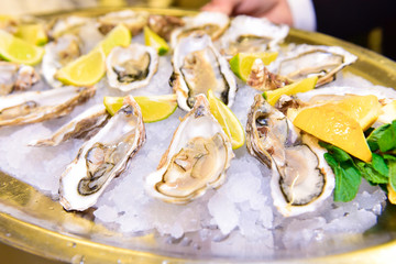 Dish of oysters on ice with lemon slices