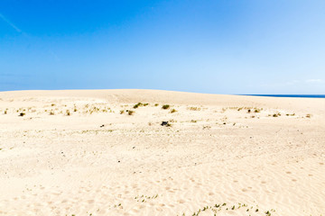 Sand on a dune with beautiful sky