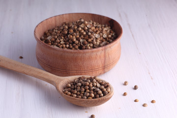 coriander seeds