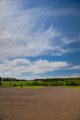 Farmland on early summer