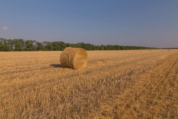 Fototapeta premium Haystack on the field